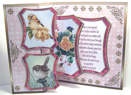 Fold Back Pop-up - Feathered Friends 2 by Katie Silver