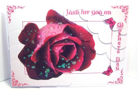 Mother's Day Rose by Katie Silver