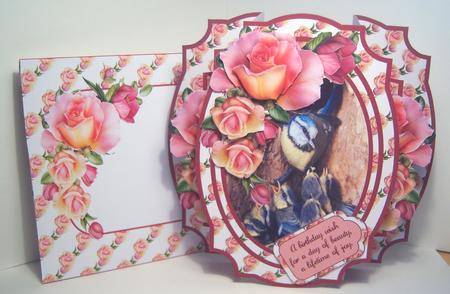 The Wonder of Nature Kit by Katie Silver