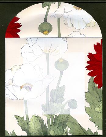 White Poppy2 Large Blooms 8in Envelope Mini Kit by Katie Silver