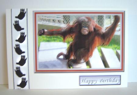 Orangutan Smiling 3D Decoupage with Background by Katie Silver