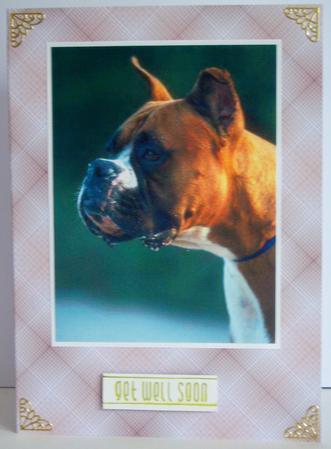 Well Plaid Autumn Paper 9 by Katie Silver
