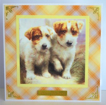 Well Plaid Autumn Paper 1 by Katie Silver