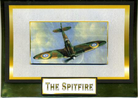 The Spitfire by Katie Silver