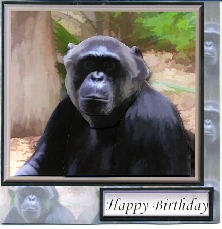 Chimpanzee 3D Decoupage with Background by Katie Silver