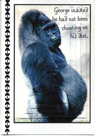 George the Gorilla by Katie Silver