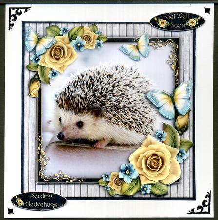 Hedgehugs by Katie Silver