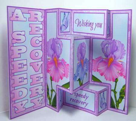 Shutter Surprise Card - Irises - Speedy Recovery by Katie Silver