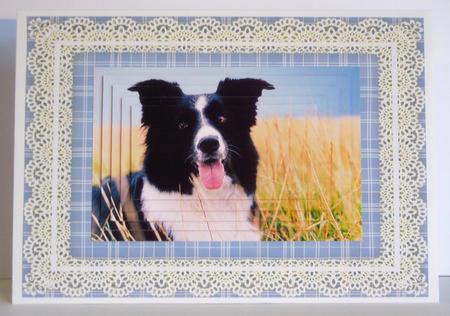 Lace Frame A5 Card Bases - Plaids 6 by Katie Silver