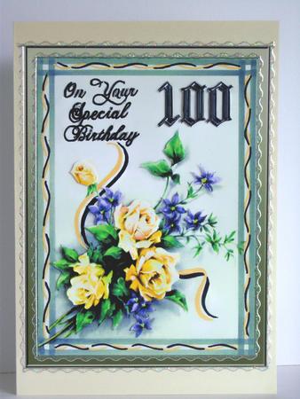 Special Birthday 100 by Katie Silver