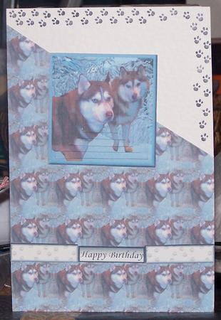 Husky Pair in Snow,pyramid with Background by Katrina Oldham