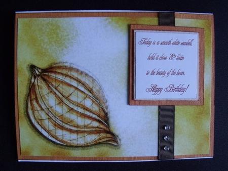 Harmonious Seashell by Keeley Towler