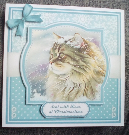 WINTER SIBERIAN CATS by Kelley Blacker