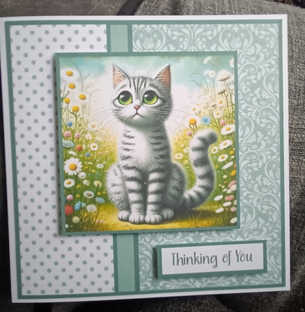 Silver Tabby 1 by Kelley Blacker