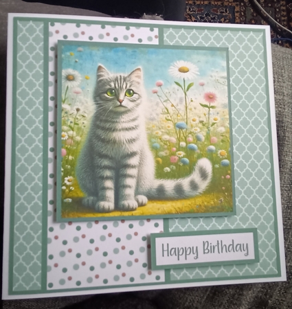 Silver Tabby 2 by Kelley Blacker