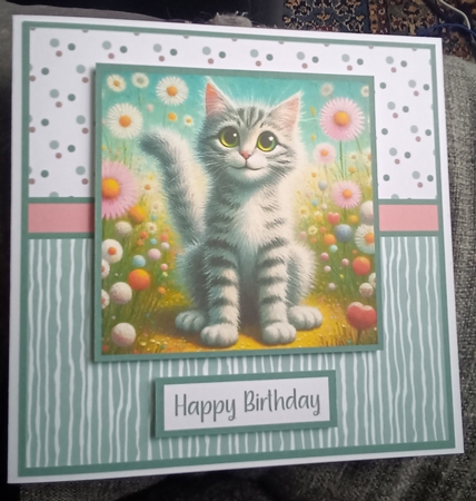 Silver Tabby 3 by Kelley Blacker