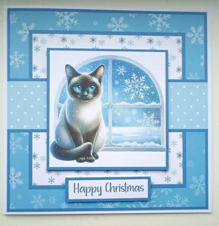 Christmas Siamese Cat Blue by Kelley Blacker