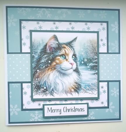 Christmas Calico Cat  by Kelley Blacker