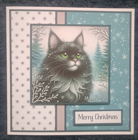 Christmas Black Cat by Kelley Blacker