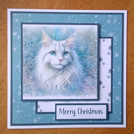 Christmas White Cat by Kelley Blacker