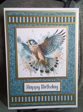Falcon 3 by Kelley Blacker