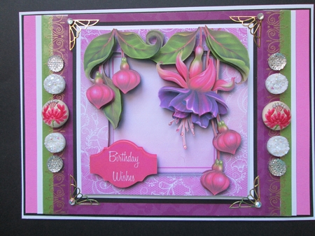 Gorgeous Fuchsias Lacey Square by Kelly Patterson