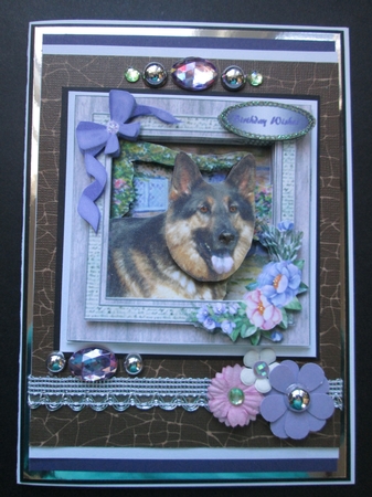 Beautiful Dog in the Garden  by Kelly Patterson