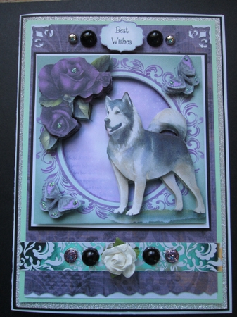 Beautiful Husky - Watercolour Wonder 8x8 by Kelly Patterson