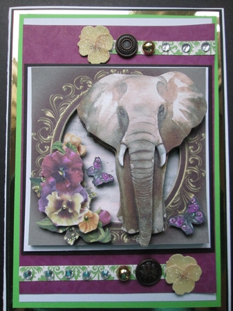The Majestic Elephant - Watercolour Wonder 8x8 by Kelly Patterson