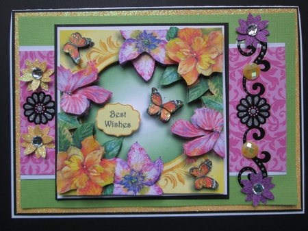 Hibiscus & Butterflies - Watercolour Wonder 8x8 by Kelly Patterson