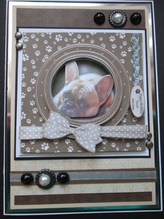 FRENCH BULLDOG TERRIER THANK YOU AND VARIOUS OTHER SENTIMENTS by Kelly Patterson