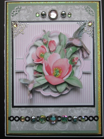 Beautiful Flowers and  Humming Birds  by Kelly Patterson