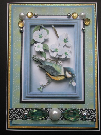 The Blue Tit by Kelly Patterson