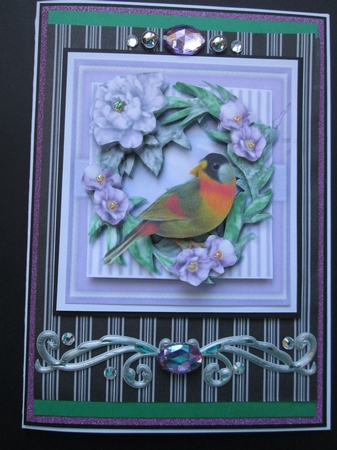 Stunning Mesia Bird  by Kelly Patterson