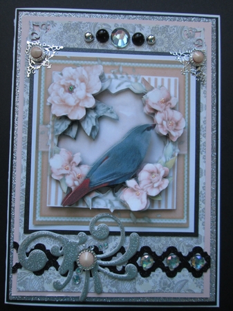 Beautiful Lvender Waxtail by Kelly Patterson
