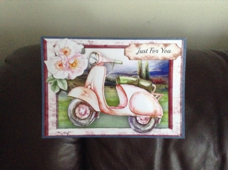 Lovely A5 Moped and Briar Roses  Featured Gallery Photo