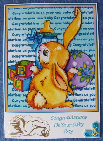 New Baby Bunny with Toys by Kerry Sawyers