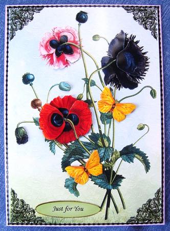 Poppies with Butterflies Featured Gallery Photo