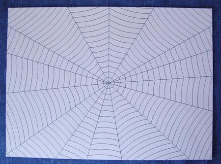 Spider Web by Kerry Sawyers
