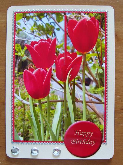 Bookmark Pocket Card - Red Tulips by Kerry Sawyers