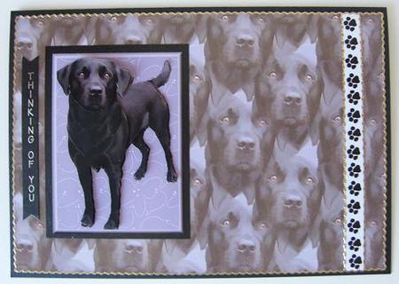 Black Labrador Dog 3D Decoupage with Background by Kerry Sawyers