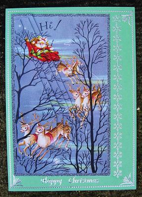 Santa Flies Through the Trees by Kerry Sawyers