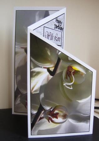 White Orchid by Kerry Sawyers