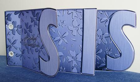 Sis Elegant Metallic Book Sheet by Kerry Sawyers