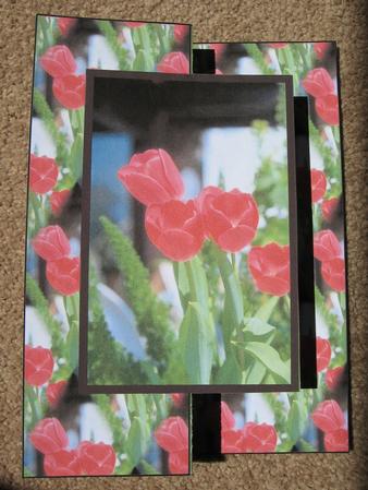 Red Tulips Fold Back by Kerry West