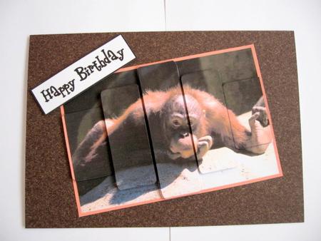Panelled Orangutan 4 by Kerry West