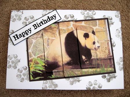Panelled Panda by Kerry West