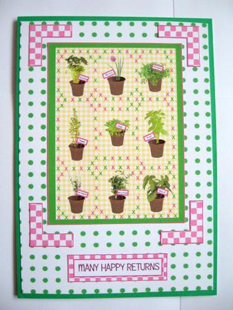 Pots of Herbs by Kerry West