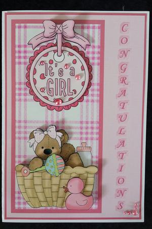 Congratulations It's a Girlstep by Step by Keryl Horwath