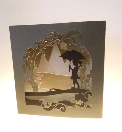 A walk in the Rain Shadow box card by kim judd